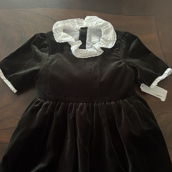 Edgehill Collection Velvet Dress With Lace - Picture 5 of 10